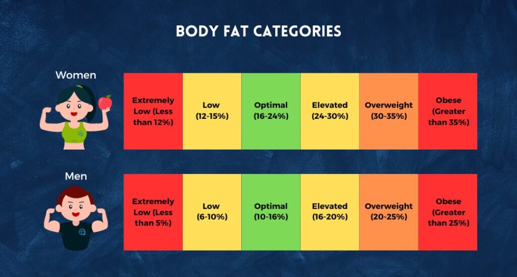 Use our Body fat percentage calculator to measure body fat accurately