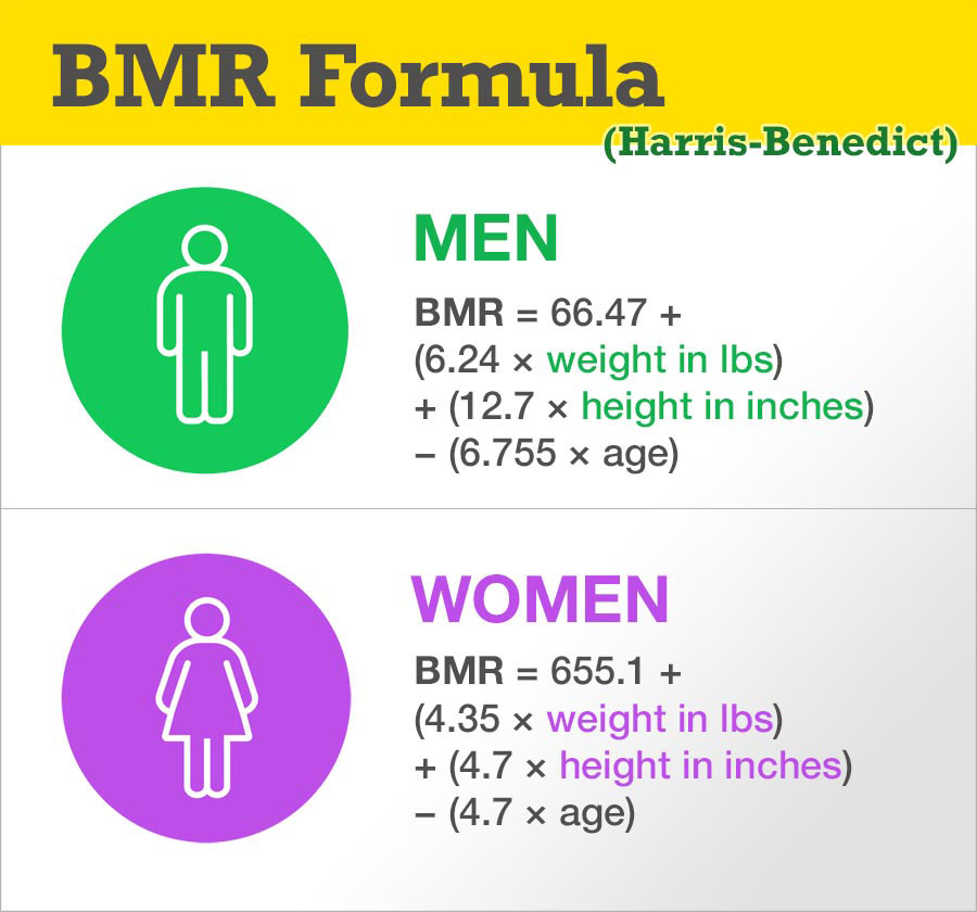 Alt Text: Basal Metabolic Rate Calculator chart showing daily calorie needs
